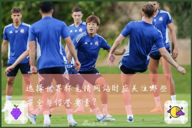 选择世界杯竞猜网站时应关注哪些安全与信誉要素？