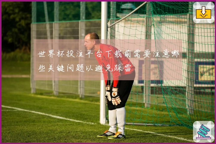 世界杯投注平台下载前需要注意哪些关键问题以避免踩雷