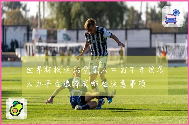 世界杯投注站登录入口打不开该怎么办平台选择有哪些注意事项