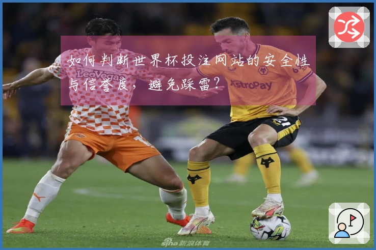如何判断世界杯投注网站的安全性与信誉度，避免踩雷？